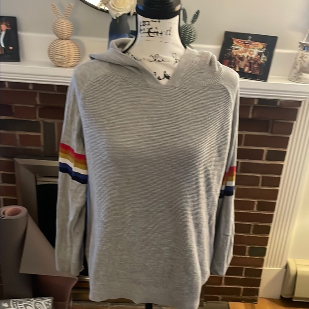 Gray Hoodie with Rainbow Stripes